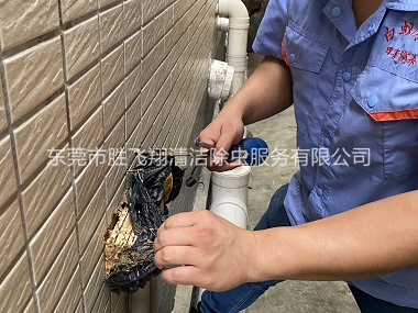 企石建筑灭治白蚁工程