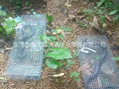 樟木头驱蛇防蛇工程