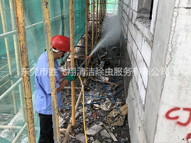 黄江建筑白蚁预防工程