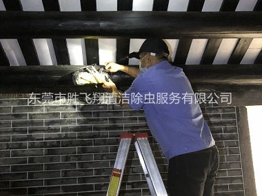 莞城祠堂杀灭白蚁工程