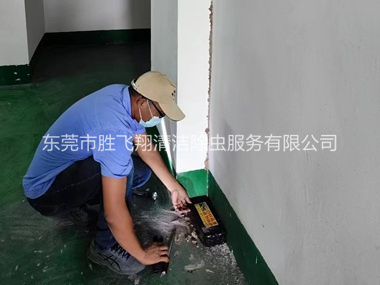 石碣电房灭杀白蚁工程