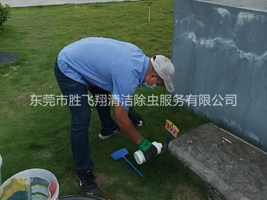 虎门灭除红火蚁工程