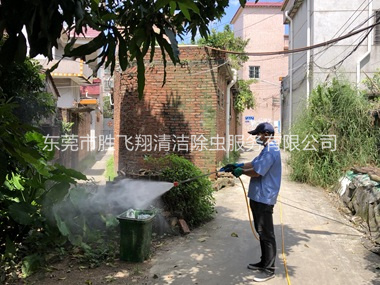 长安村庄灭蚊预防两热工程
